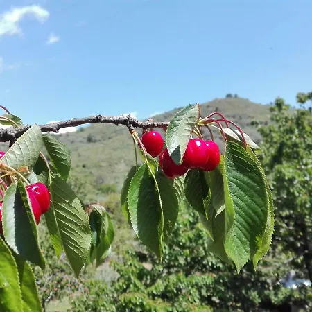 La Terra Dei Ciliegi Tra L'etna E Il Mare Di Taormina Βίλα