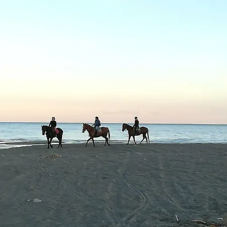La Terra Dei Ciliegi Tra L'etna E Il Mare Di Taormina